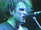 1995.6.25 live Robert